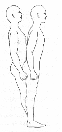 fig1